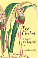 Orchid in Lore and Legend