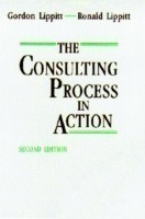 Consulting Process in Action