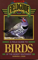 Field Guide to Birds of the Desert Southwest