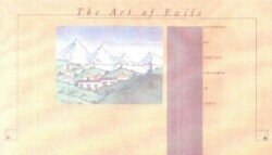 Art of Exile