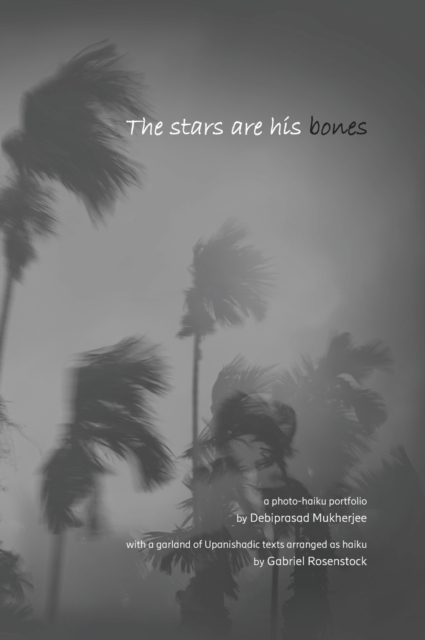 Stars are His Bones