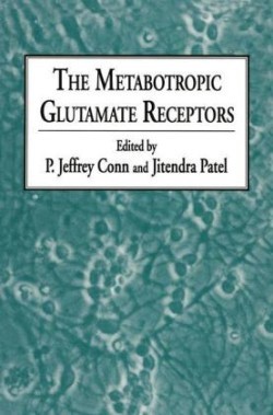 Metabotropic Glutamate Receptors