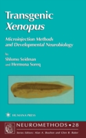 Transgenic Xenopus