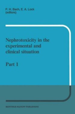 Nephrotoxicity in the experimental and clinical situation