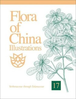 Flora of China Illustrations, Volume 17 – Verbenaceae through Solanaceae