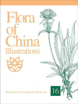 Flora of China Illustrations, Volume 16 – Gentianaceae through Boraginaceae