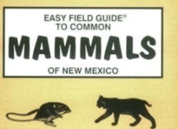 Easy Field Guide to Common Mammals of New Mexico