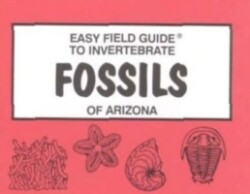 Easy Field Guide to Invertebrate Fossils of Arizona