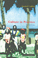 Culture in Practice