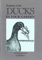 Keeping a Few Ducks in Your Garden
