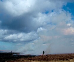 Setting the Fell on Fire - Allenheads Contemporary Arts
