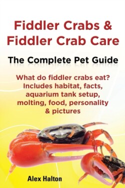 Fiddler Crabs & Fiddler Crab Care. Complete Pet Guide. What do fiddler crabs eat? Includes habitat, facts, aquarium tank setup, molting, food, personality & pictures