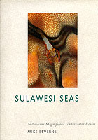 Sulawesi Seas