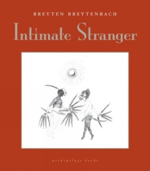 Intimate Stranger