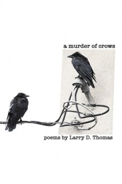 Murder of Crows