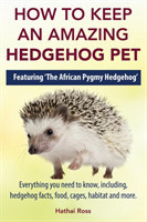 How to Keep an Amazing Hedgehog Pet. Featuring 'The African Pygmy Hedgehog' !!