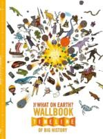 What on Earth? Wallbook Timeline of Big History