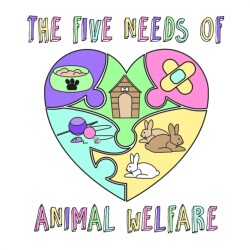 Five Needs of Animal Welfare