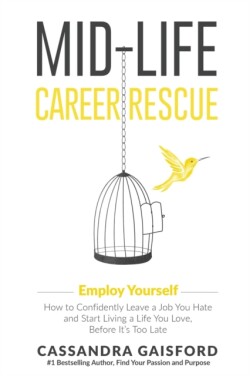 Mid-Life Career Rescue