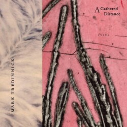Gathered Distance Poems
