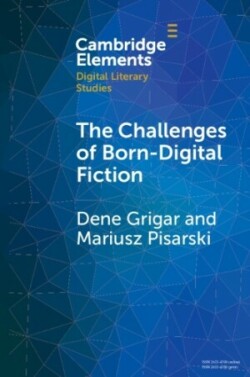 Challenges of Born-Digital Fiction