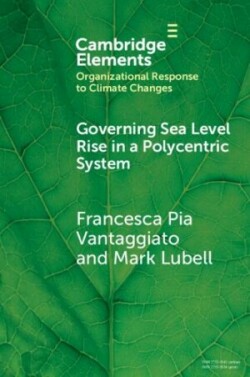 Governing Sea Level Rise in a Polycentric System