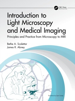 Introductory Biomedical Imaging