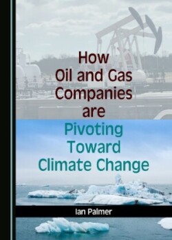 How Oil and Gas Companies are Pivoting Toward Climate Change