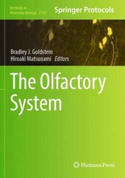 Olfactory System