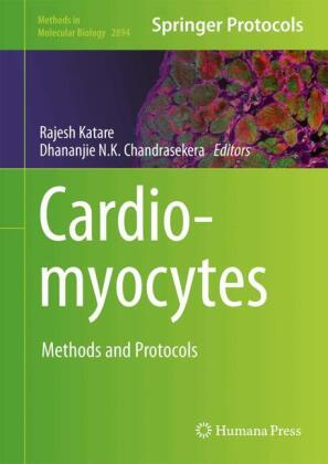 Cardiomyocytes