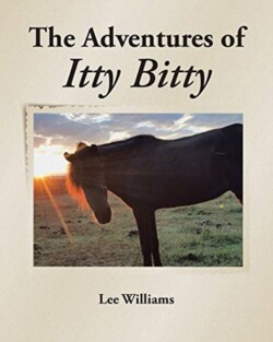 Adventures of Itty Bitty