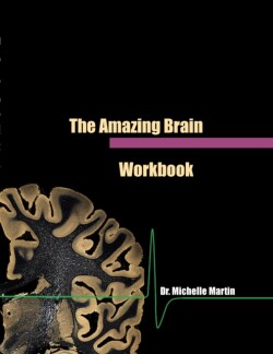 Amazing Brain Workbook