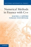 Numerical Methods in Finance with C++