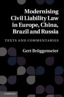 Modernising Civil Liability Law in Europe, China, Brazil and Russia