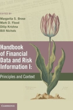 Handbook of Financial Data and Risk Information I: Volume 1