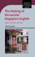 Making of Vernacular Singapore English System, Transfer, and Filter