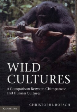 Wild Cultures