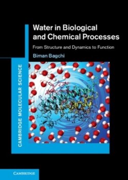 Water in Biological and Chemical Processes