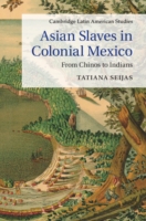 Asian Slaves in Colonial Mexico