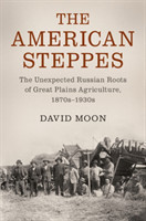 American Steppes