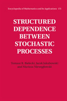 Structured Dependence between Stochastic Processes