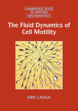 Fluid Dynamics of Cell Motility