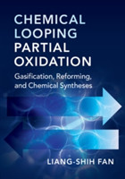 Chemical Looping Partial Oxidation