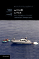 Access to Asylum