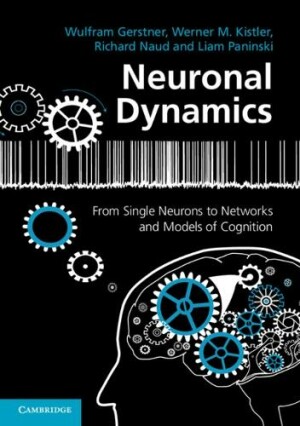 Neuronal Dynamics