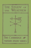 Study of the Weather