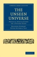 Unseen Universe