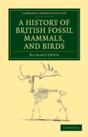 History of British Fossil Mammals, and Birds