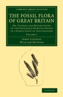 Fossil Flora of Great Britain