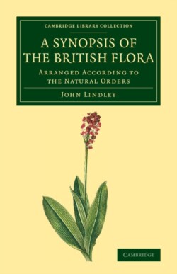 Synopsis of the British Flora